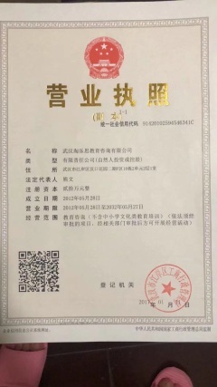 武漢淘樂思教育咨詢公司 深耕教育咨詢，賦能學(xué)習(xí)未來